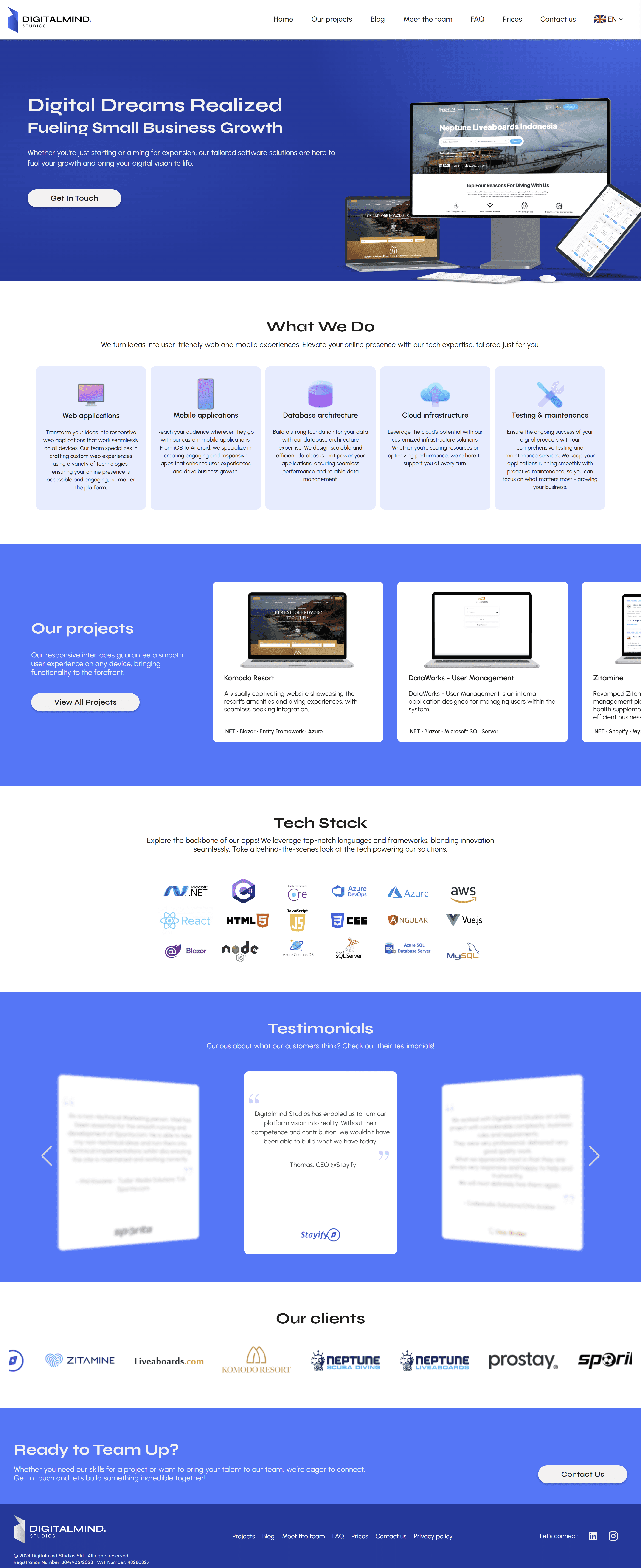 Digitalmind Studios homepage desktop mockup